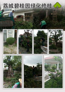 增城區工廠樓盤綠化修枝養護與物業管理