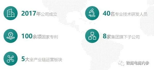 萱嘉集團(tuán)旗下安幕茵產(chǎn)品在腰間盤突出治療中的功效與投資管理分析