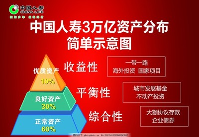 中國人壽投資分布與管理策略概覽